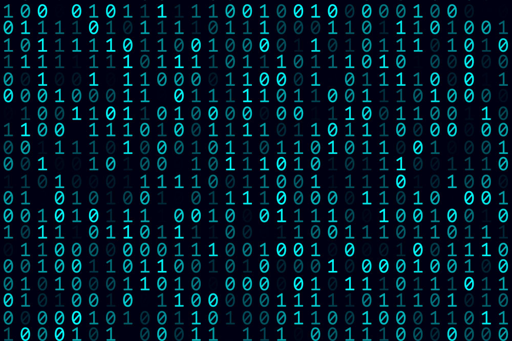 Nano-Softshell - Cyber 