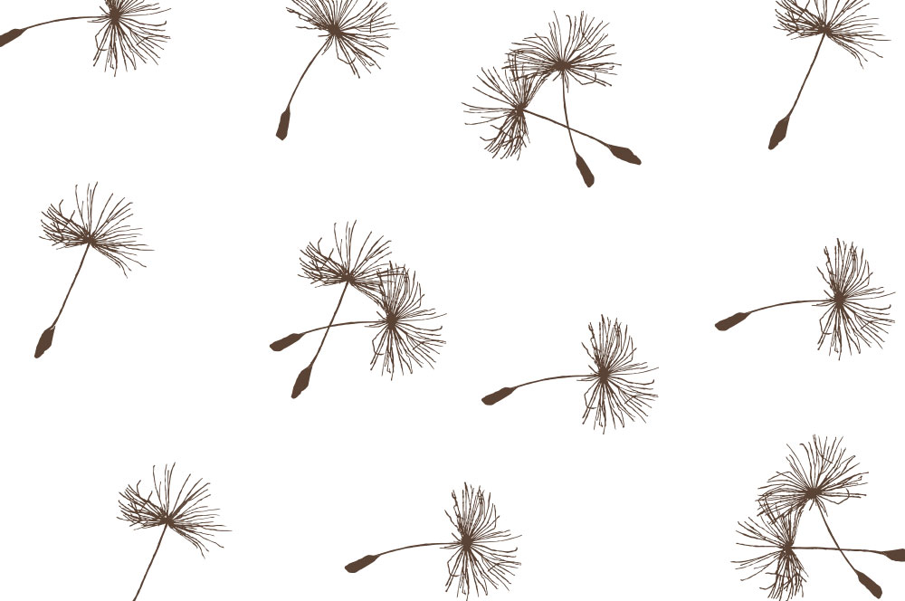 Voile - Pusteblümchen