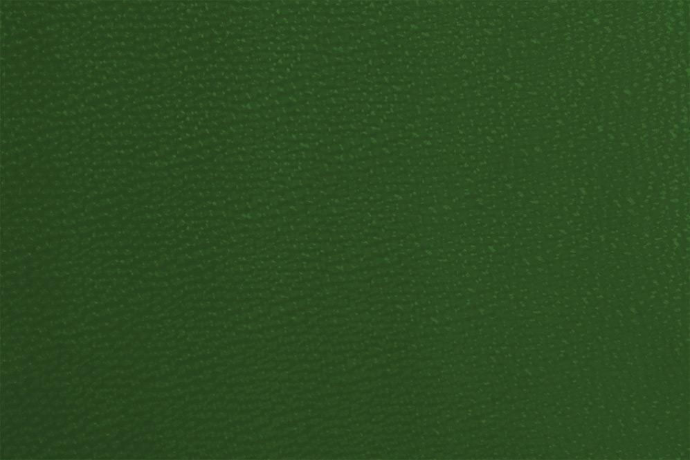 Kunstleder - Deluxe Grün