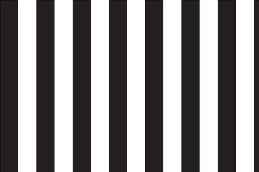 Blackout - Blockstreifen 6 cm Schwarz/Weiß 