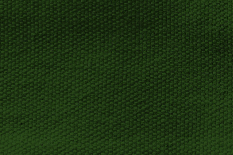 Baumwoll-Leinwand Premium - 295 cm Grün