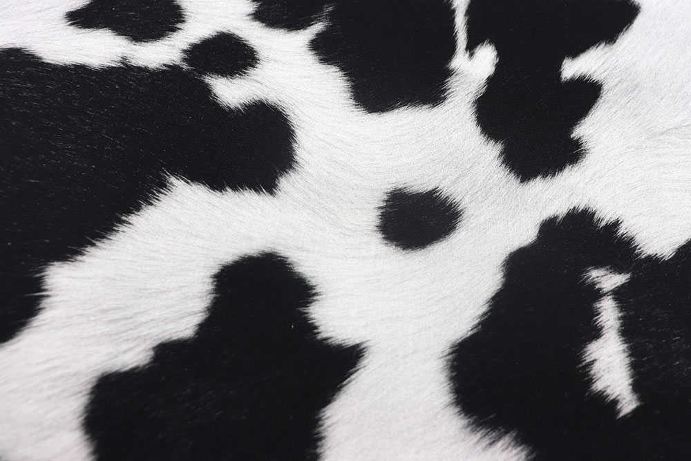 Baumwollstoff - Kuhflecken 