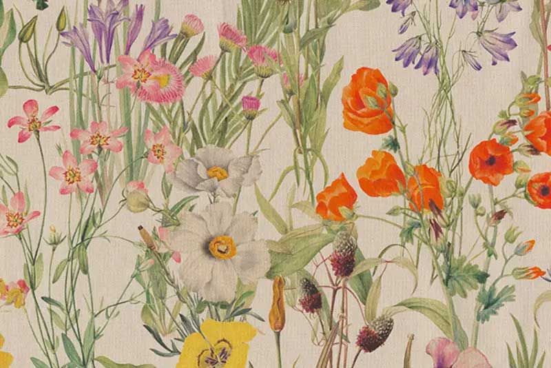 Dekostoff Premium - Wiesenblumen 