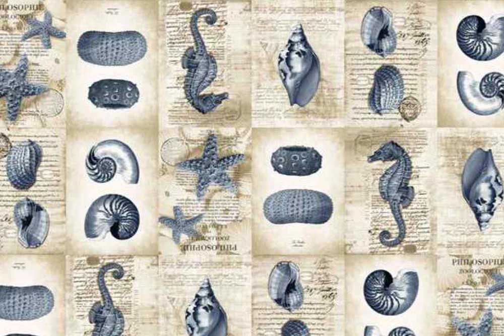 Dekostoff - Maritime Motive - 280 cm 