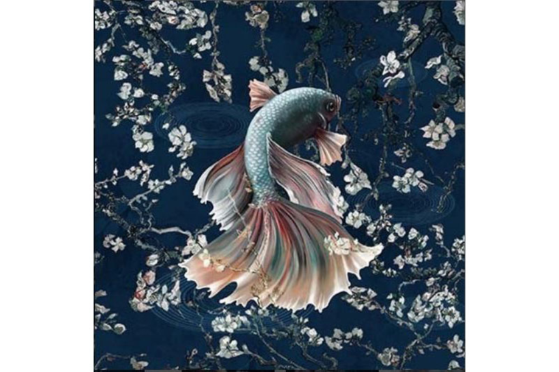 Premium-Samt - Panel - Kampffisch 