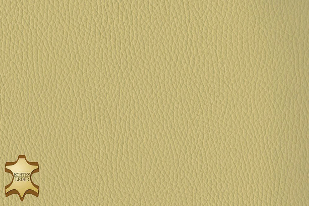 Echtleder - Klassik Elfenbein