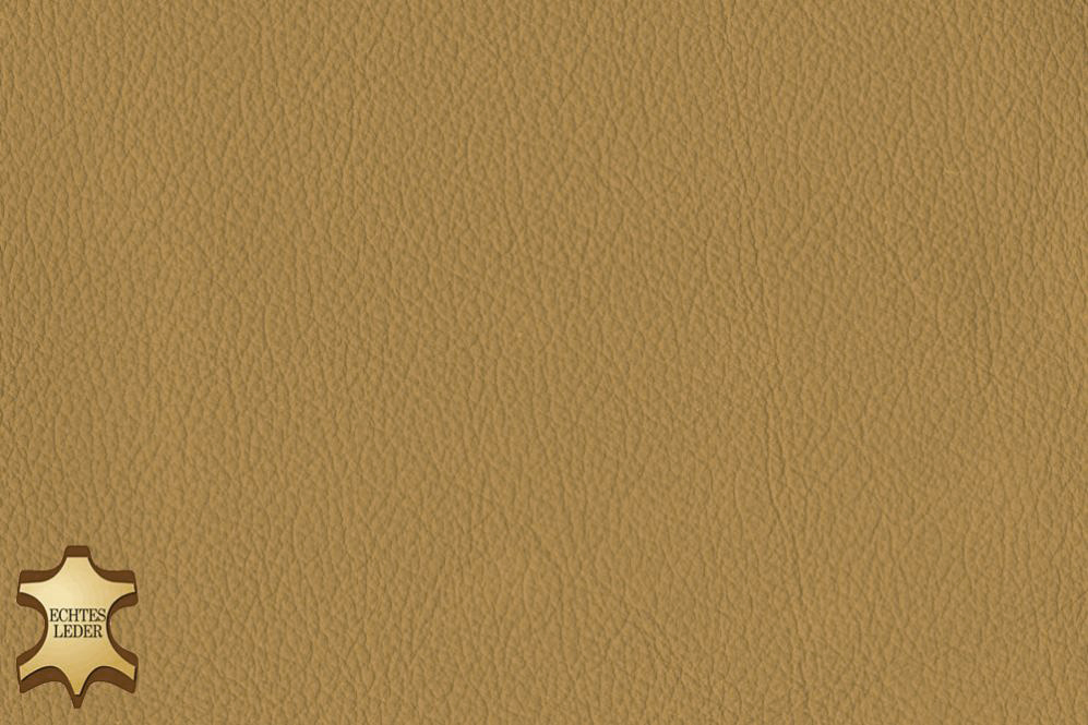 Echtleder - Klassik Camel 