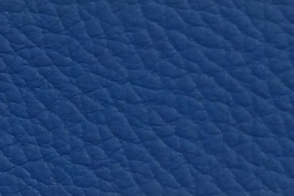 Echtleder - Summer Colours - Ganze Haut Royal