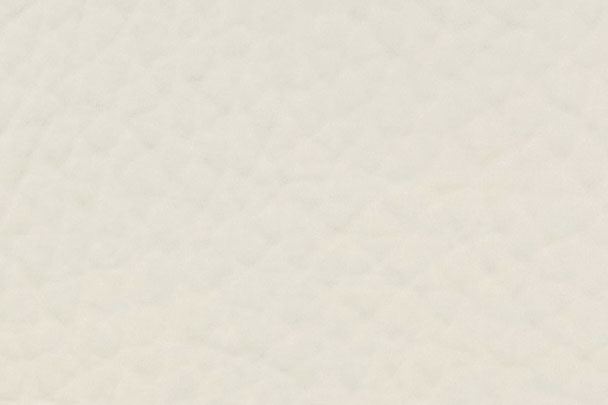 Echtleder - Summer Colours - Ganze Haut Creamy White