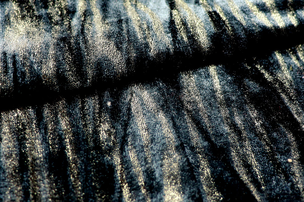 Pannesamt Premium Dark - Goldglanz 