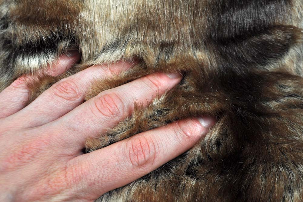 Pelz-Imitat Höhlenbär 