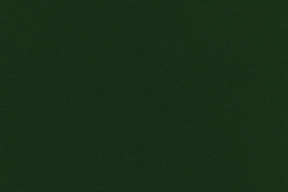 Wärmevorhangstoff Alaska - Tanne - 1,0 Meter 