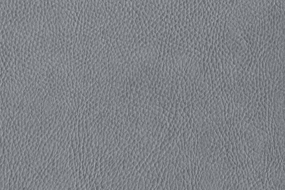 Echtleder-Haut Dallas - Haut ab 4 qm - Grey 