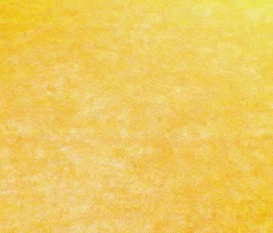 Fotohintergrund Bicolor 280 cm 