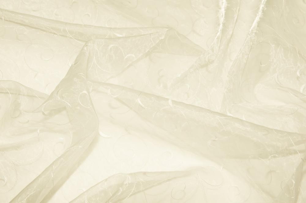 Organza Stoff mit Ranke bestickt - Champagner - 1,0 Meter 
