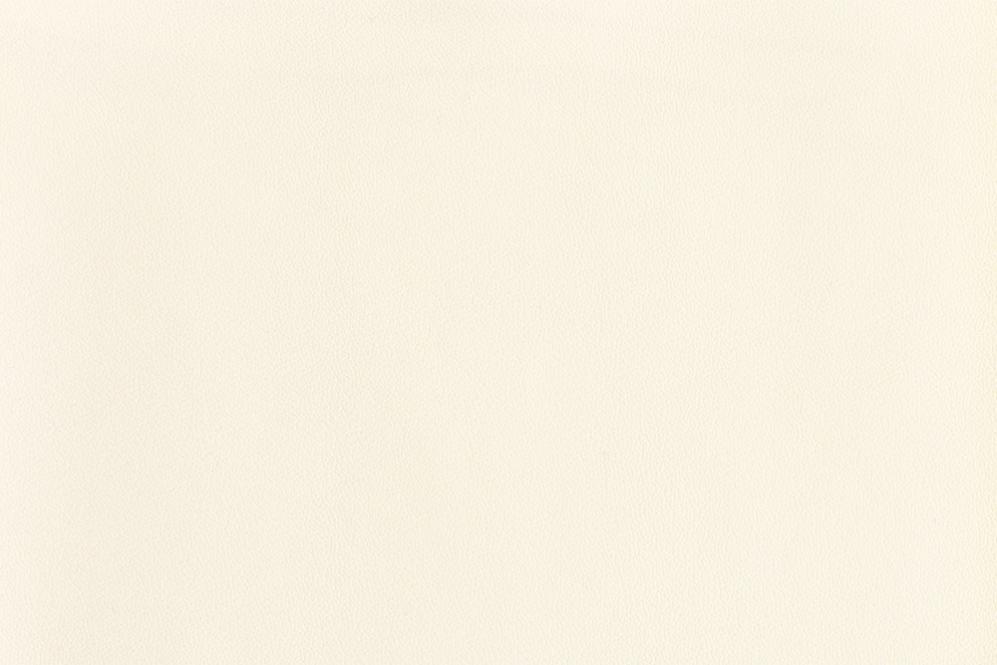 Kunstleder - Soft Touch Stretch Champagner