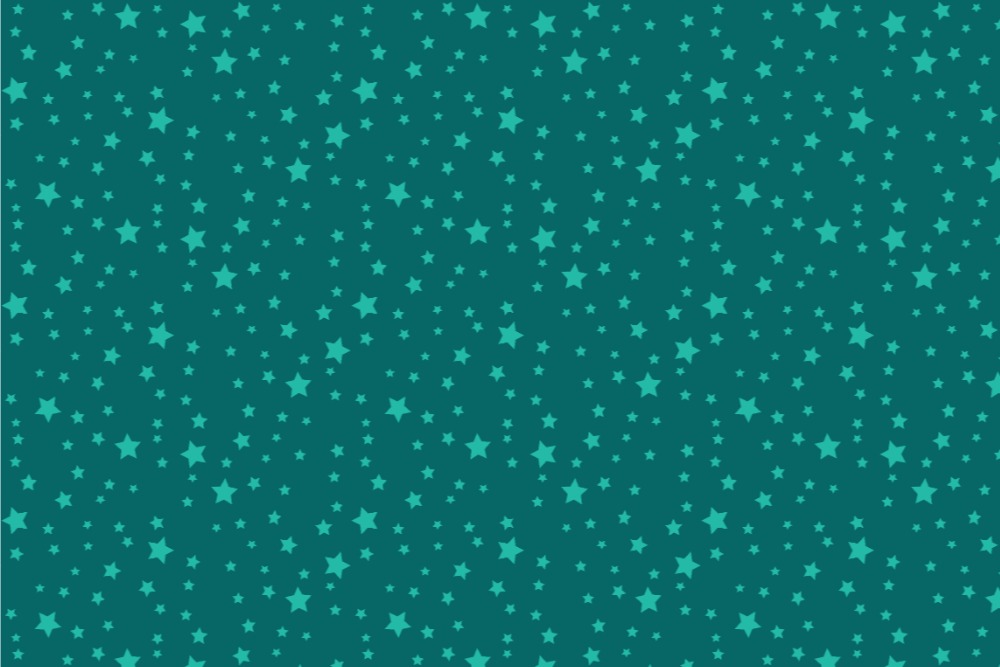 Frottee-Fleece - Sterne - Night Colours