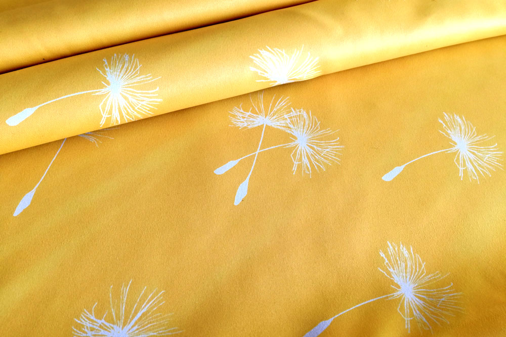 Blackout - Pusteblume