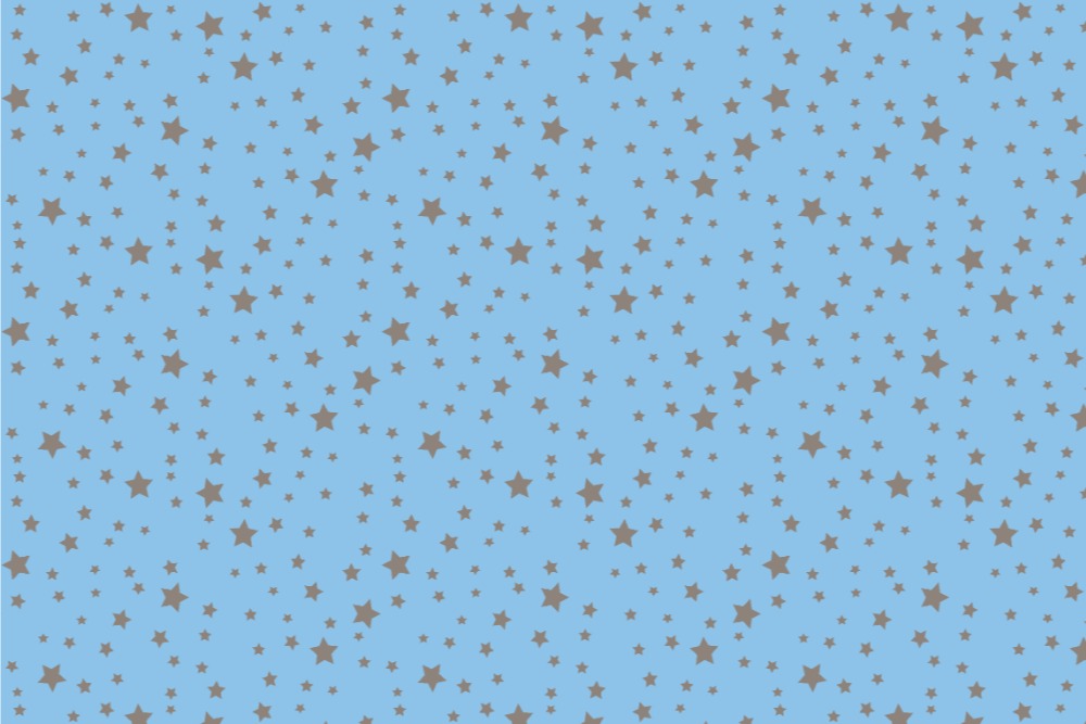 Frottee-Fleece - Sterne - Night Colours