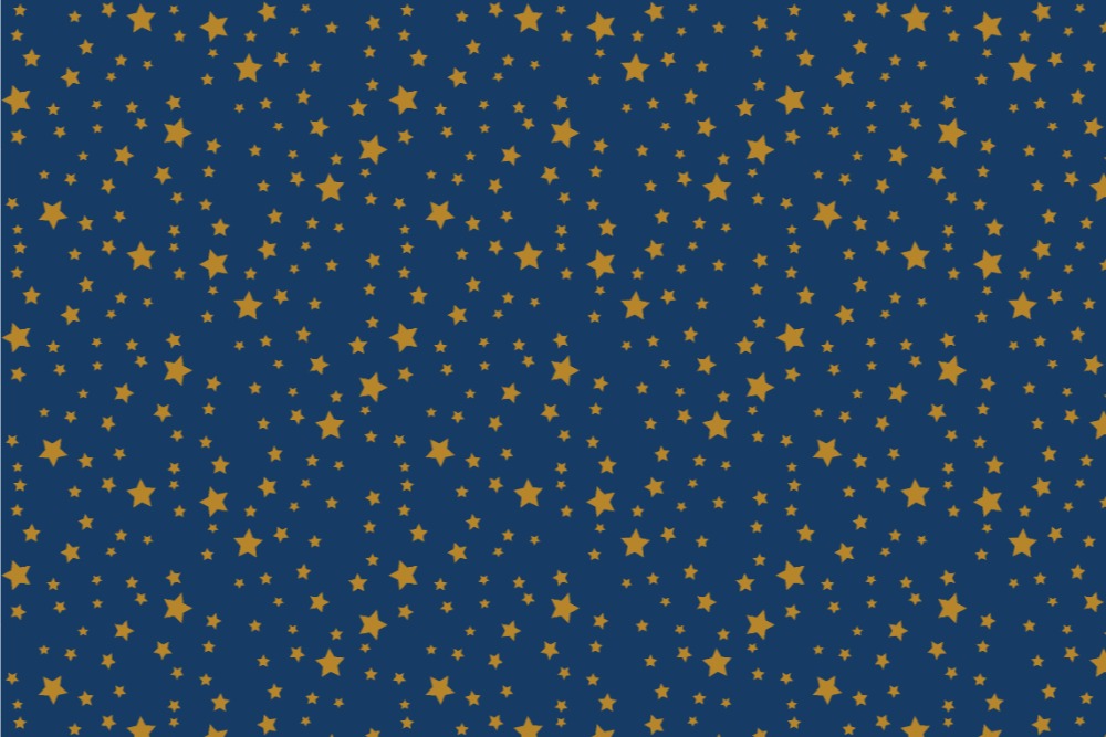 Frottee-Fleece - Sterne - Night Colours