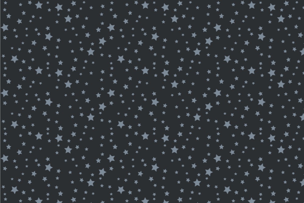 Frottee-Fleece - Sterne - Night Colours