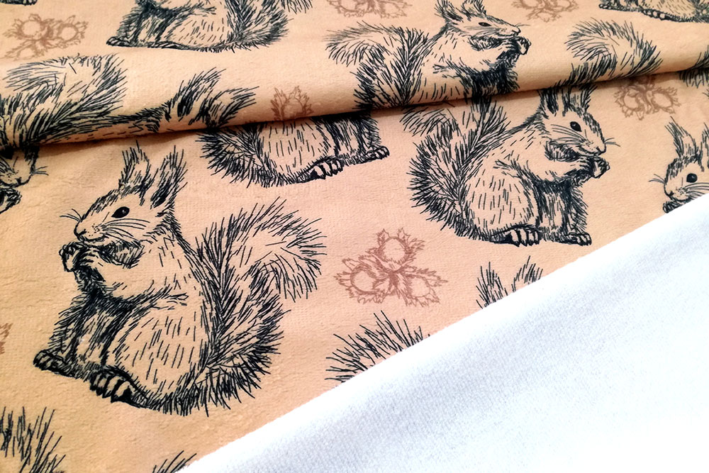 Frottee-Fleece - Eichhörnchen