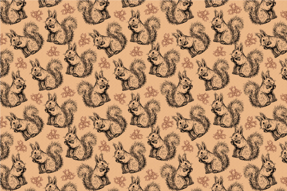 Frottee-Fleece - Eichhörnchen