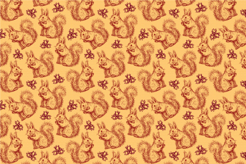 Frottee-Fleece - Eichhörnchen