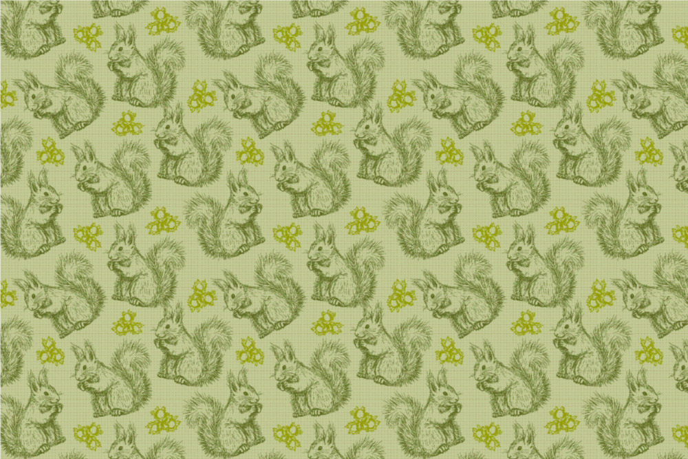 Frottee-Fleece - Eichhörnchen