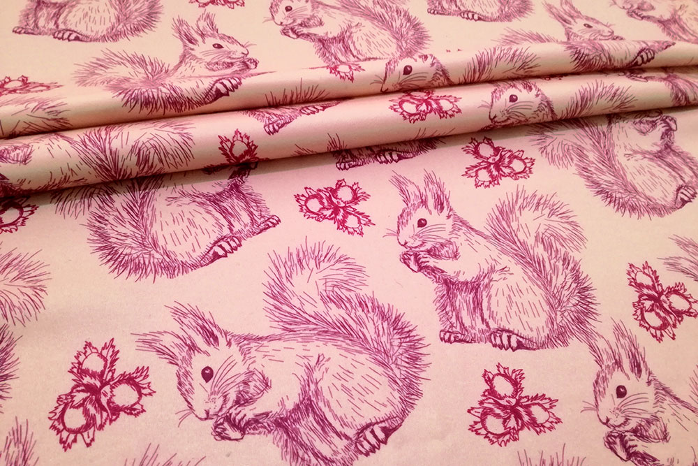 Fleece-Stoff - Eichhörnchen