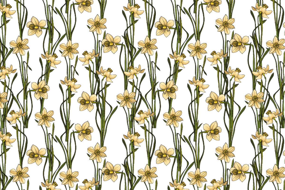 Satin - Narzissenwiese