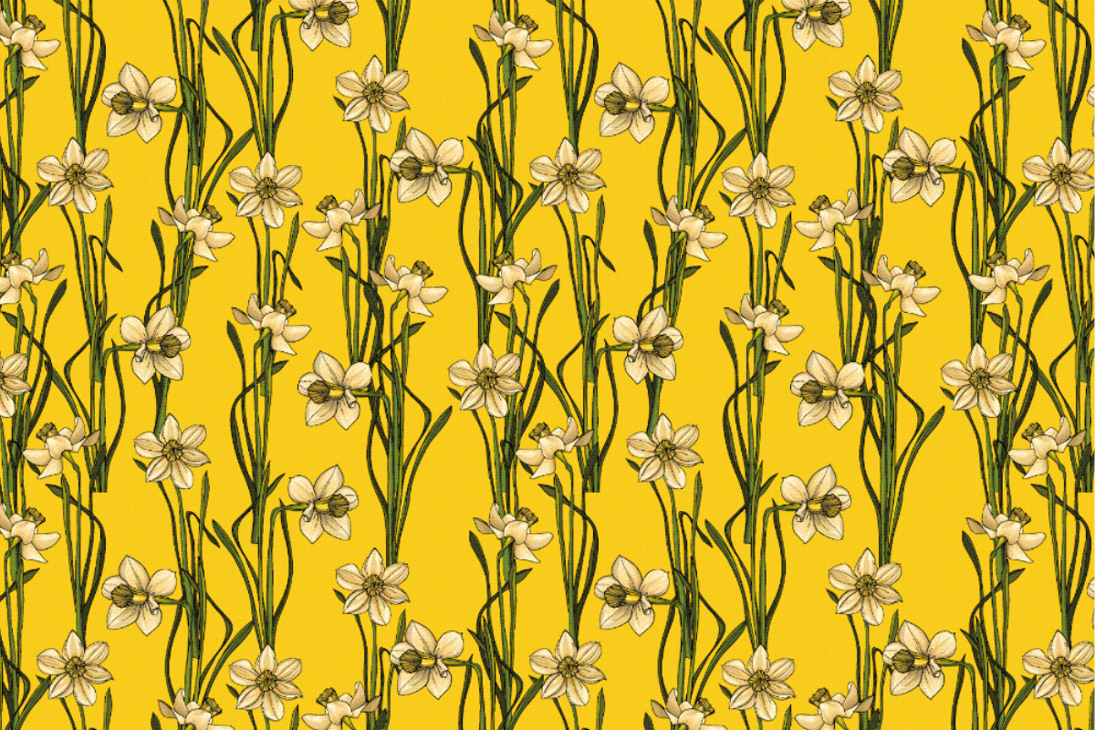 Satin - Narzissenwiese