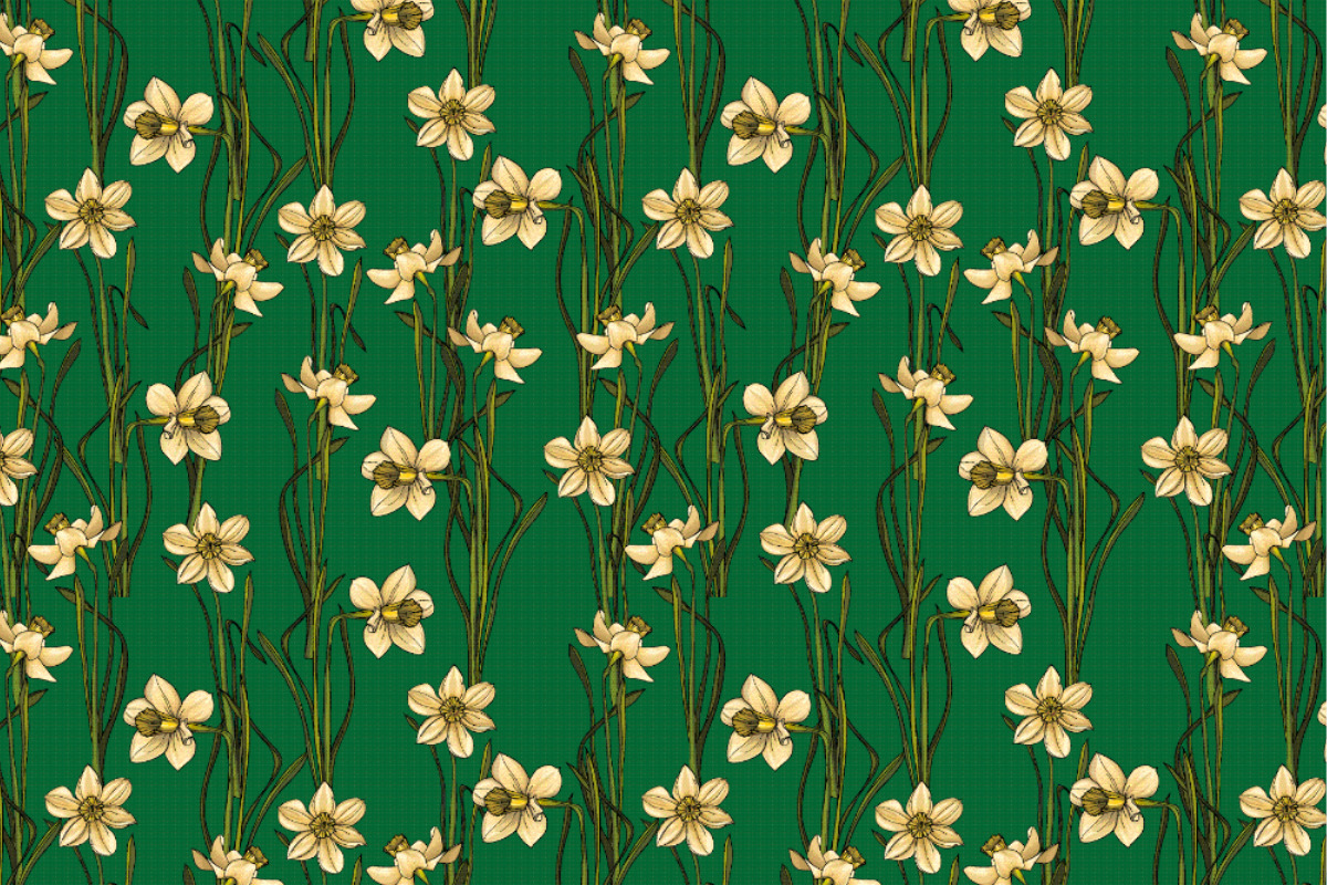 Satin - Narzissenwiese