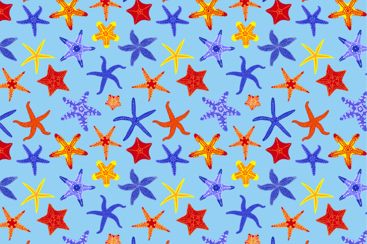 Outdoorstoff - Seesterne