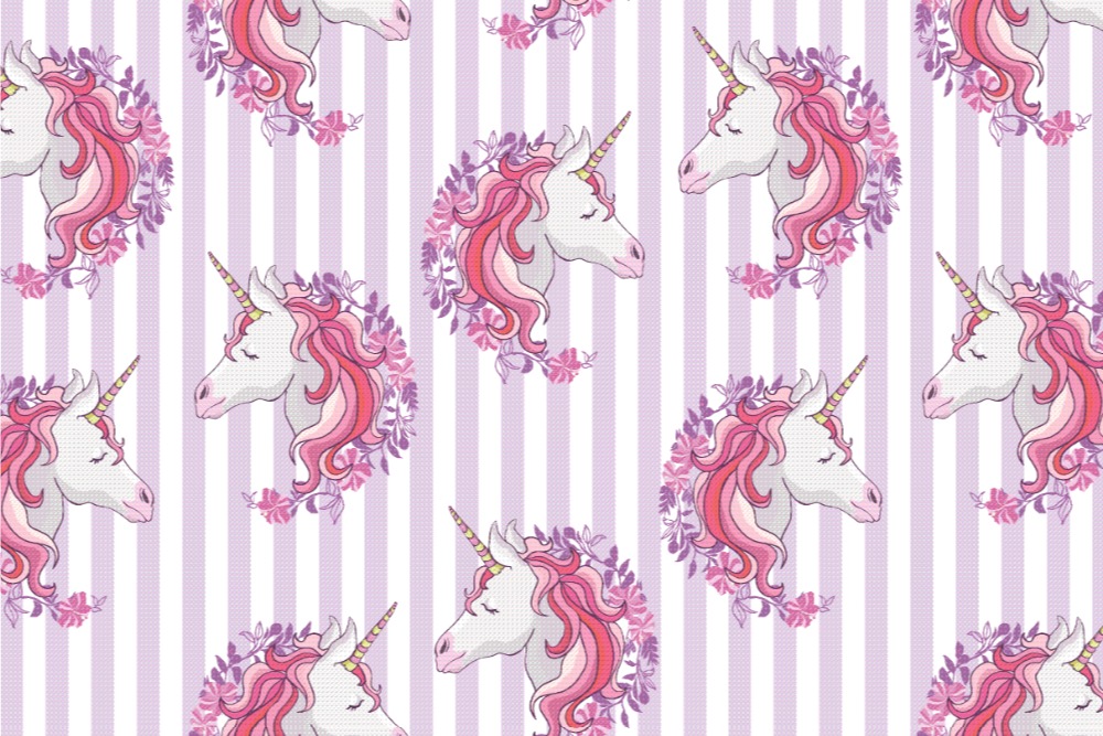 Nano-Softshell - Einhorn-Traum