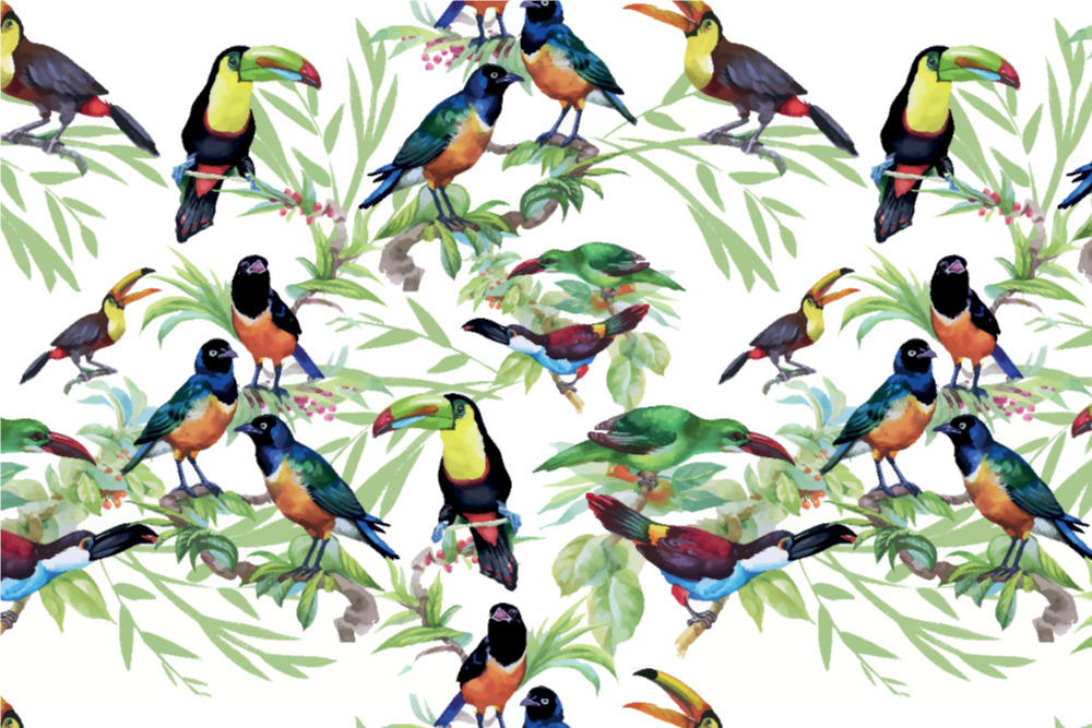 Outdoorstoff Paradiesvögel