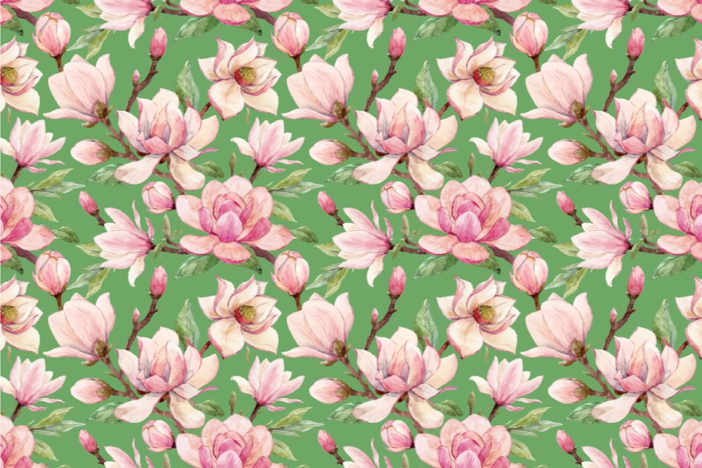 Blackout - Magnolia Rosé