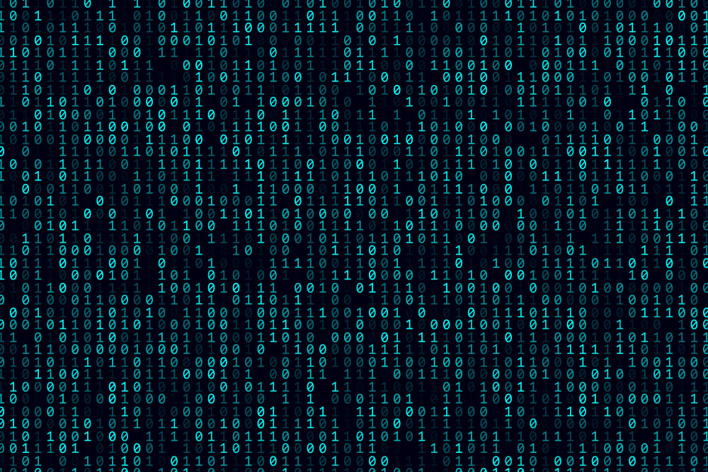 Nano-Softshell - Cyber