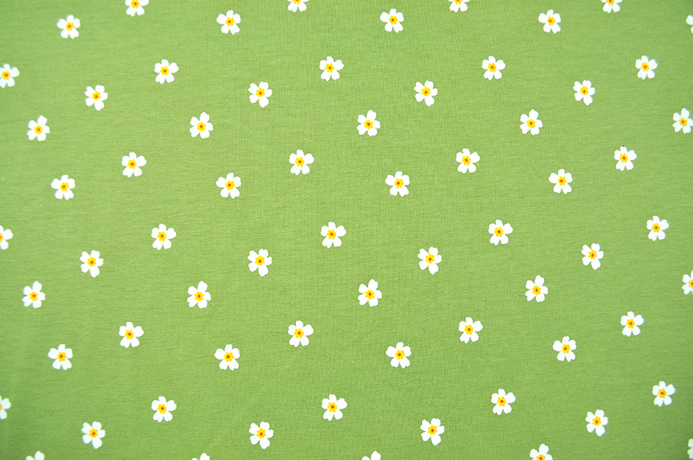 French Terry - Blümchenwiese - Hellgrün