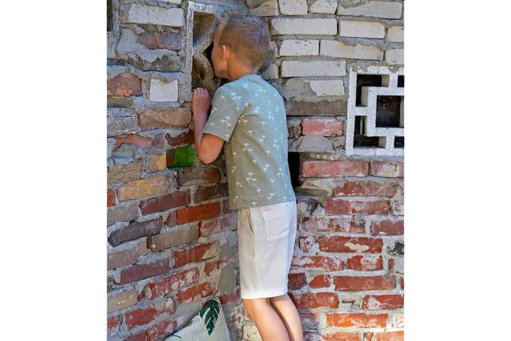 Jersey - Palm Island