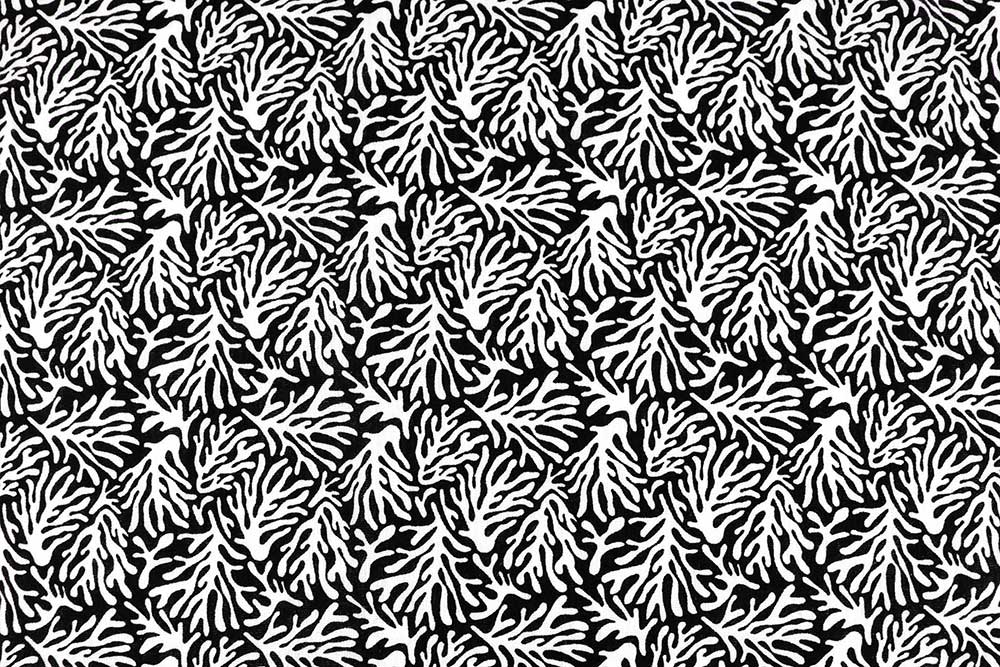 Musselin - Korallenriff