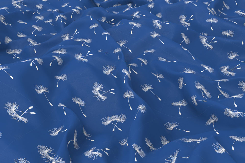 Blackout - Pusteblume