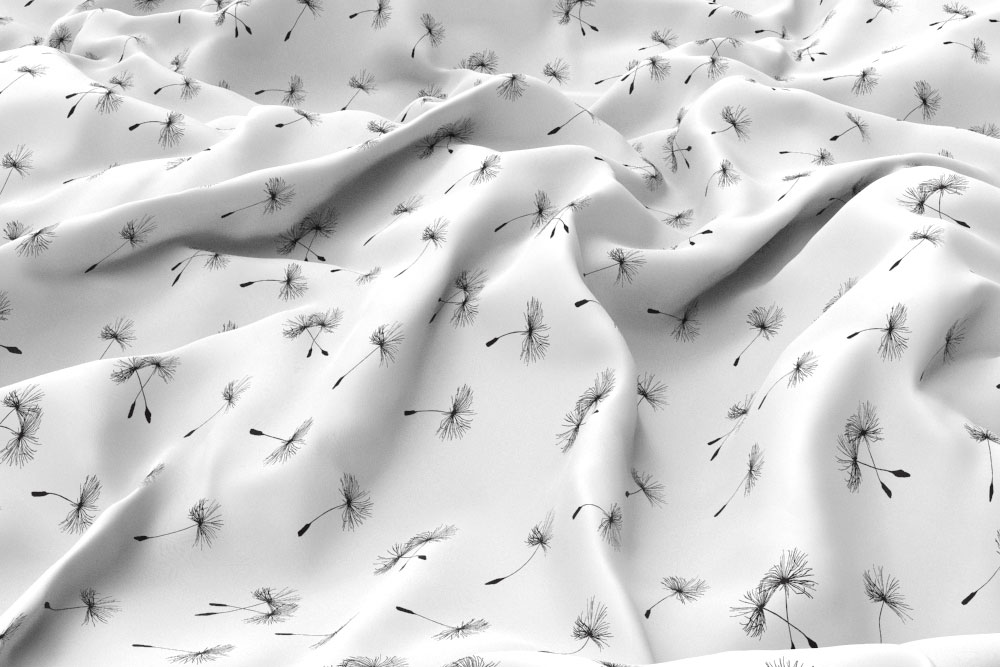 Blackout - Pusteblume