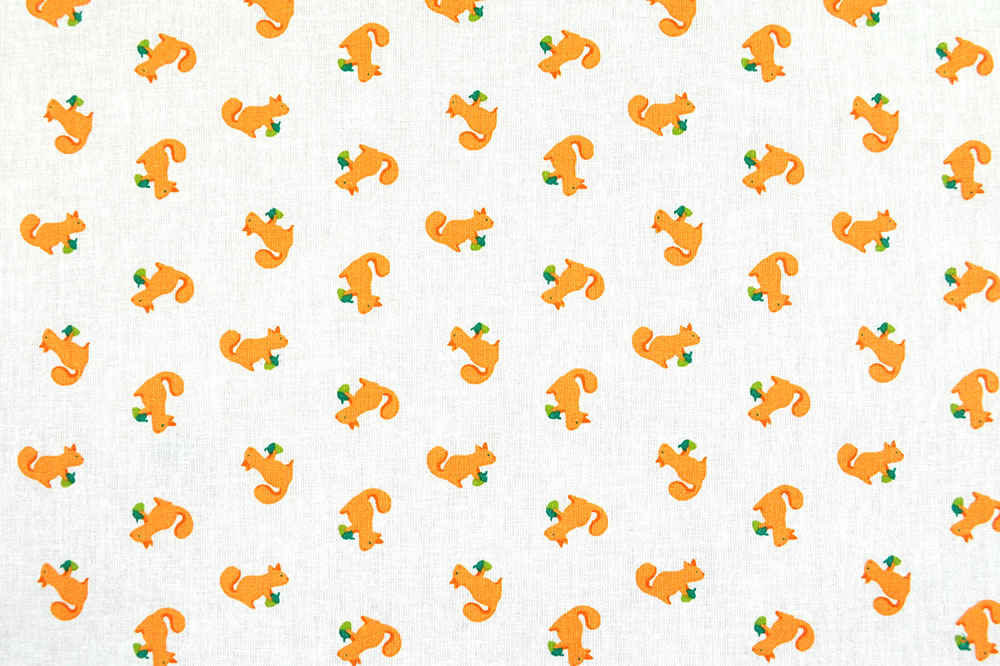 Baumwollstoff - Kleine Eichhörnchen