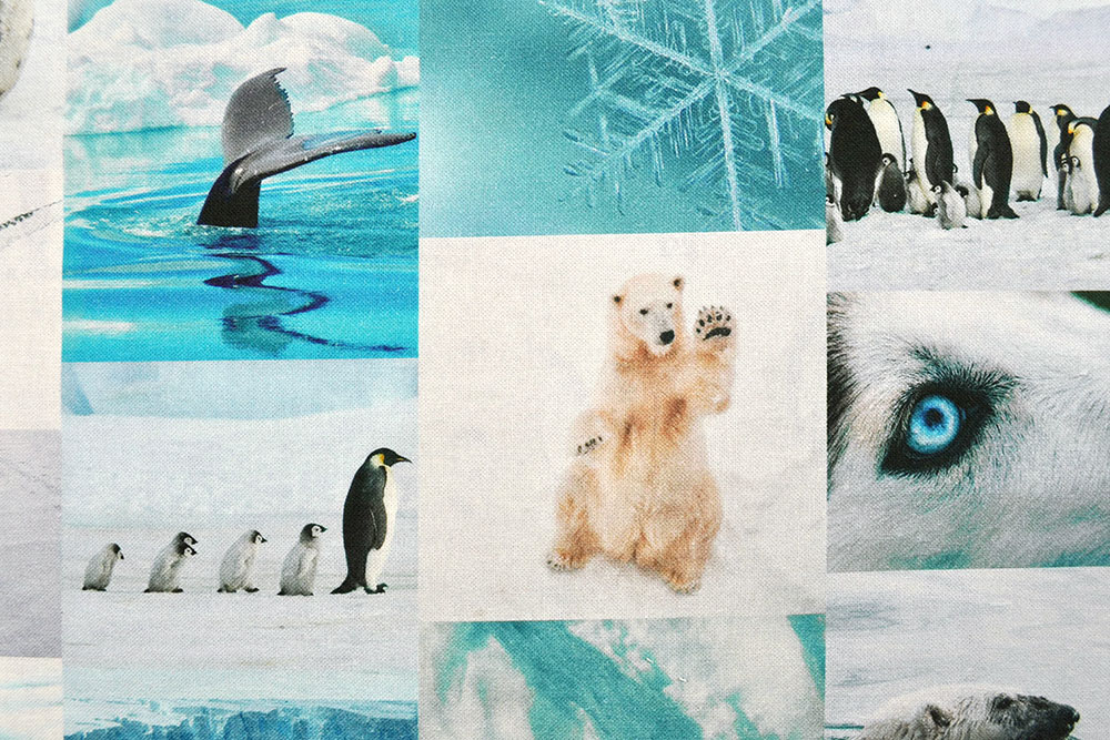 Dekostoff Digitaldruck - Polar Life