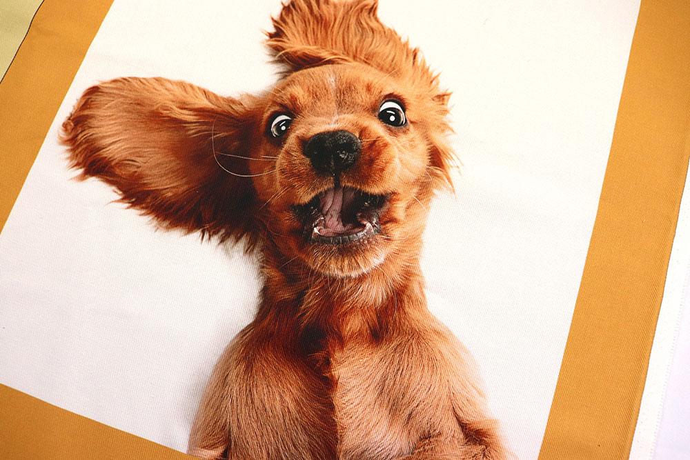 Panel - 3 Motive - Hundeliebe