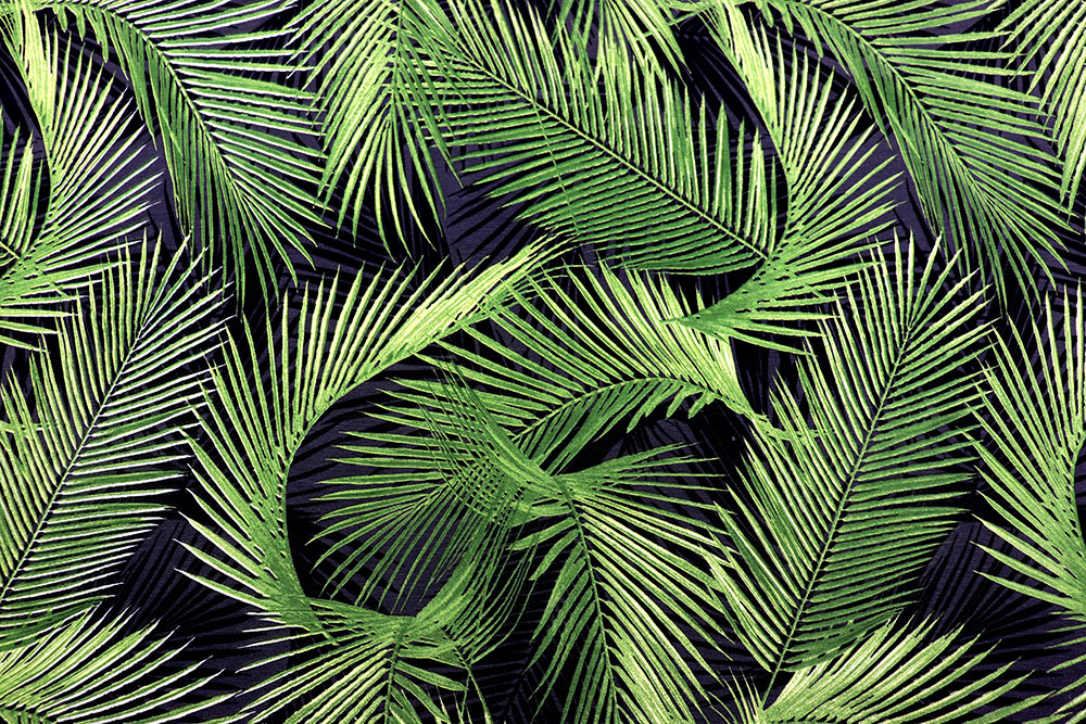 Dekostoff - Palmblätter
