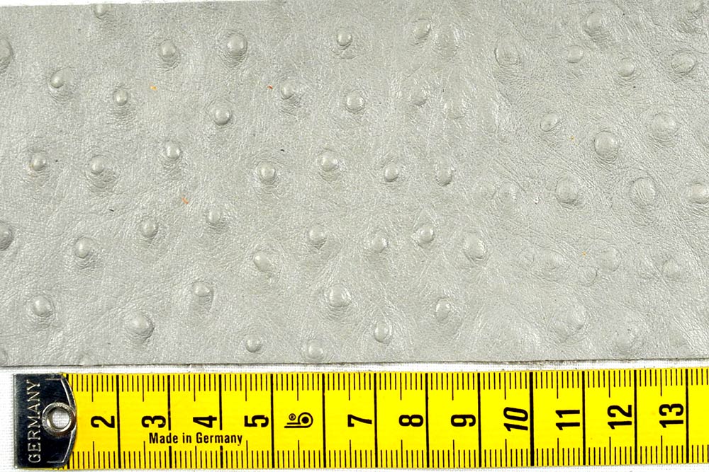 Echtleder geprägt - Strauß - ganze Haut