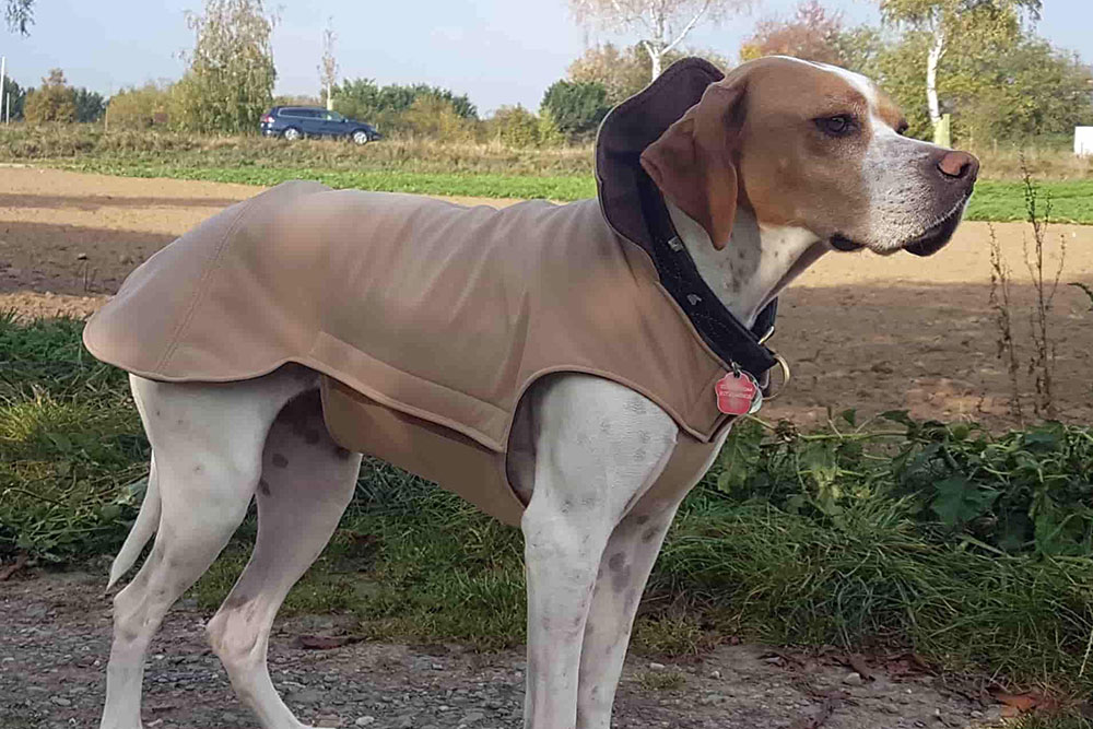 Nano-Softshell dreilagig - wasserdicht - uni