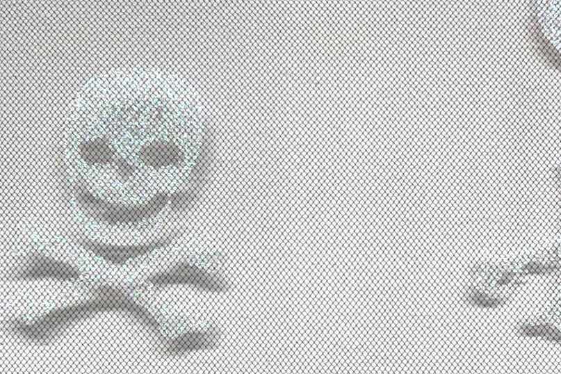 Tüll - Glitzer-Totenkopf